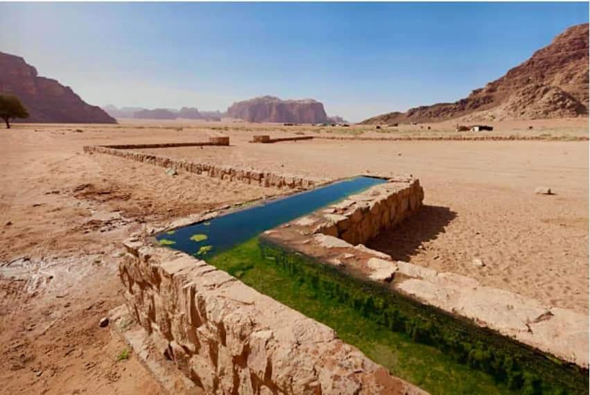 Wadi Rum Rozana Camp Exteriör bild