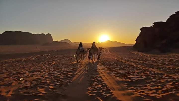Wadi Rum Rozana Camp Exteriör bild